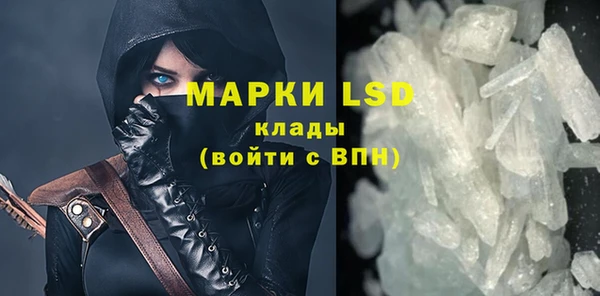стаф Кодинск