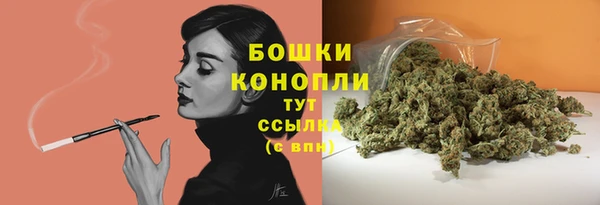 амф Корсаков