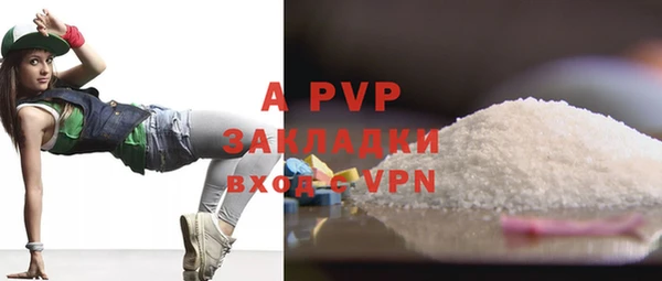 амф Корсаков