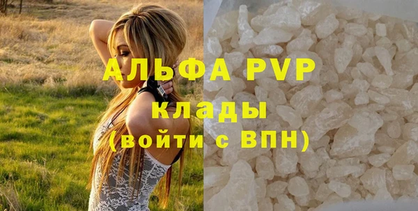 амф Корсаков