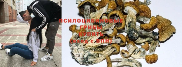 не бодяженный Коряжма