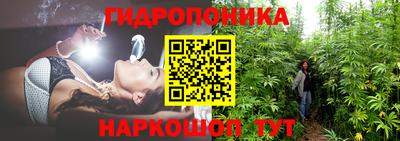 прущий лед Жуковский