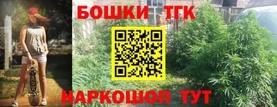 PSILOCYBIN Заводоуковск