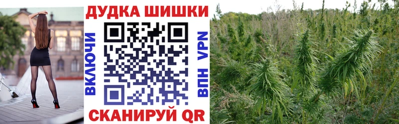 Марихуана гибрид Людиново