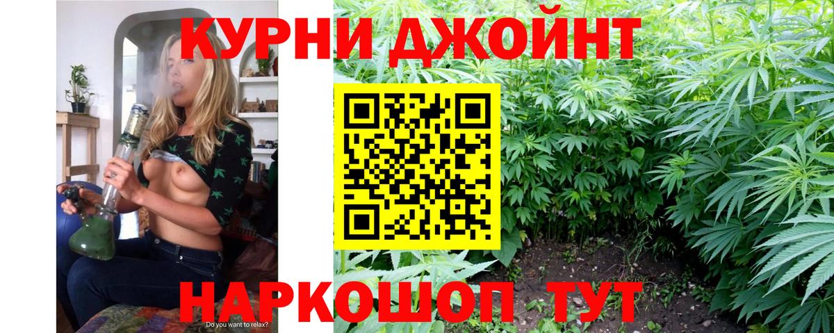 Конопля планчик Людиново